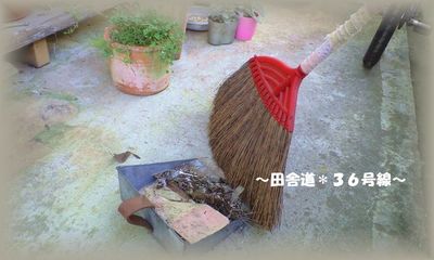 多肉達×お掃除。。。終了!!