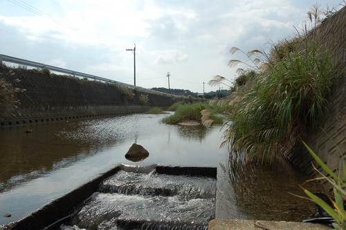 緑畑の散歩道