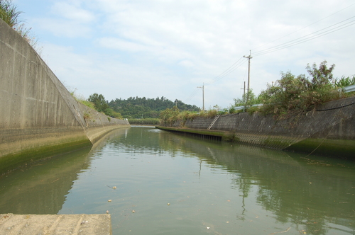 緑畑の散歩道