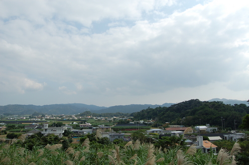 緑畑の散歩道