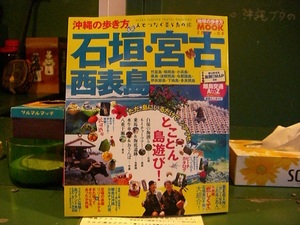 沖縄の歩き方!