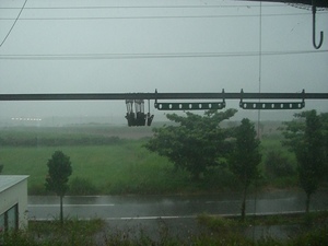 梅雨入り中デス!