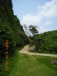 うりずんの島・来間島と池間島（2008.4.24) 2008/05/16 11:26:35