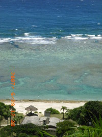 明日・4月8日（旧暦3月3日）は奄美の海開き！ 2008/04/07 15:28:07