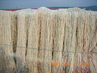 奥武島へ2007.12.3 2007/12/19 10:26:24