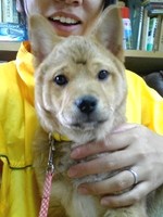 2月17日すっかりお兄ちゃん