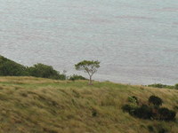 小浜島の 2006/08/22 09:00:00
