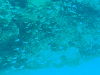 たまに全力疾走したくなるときあるよね?