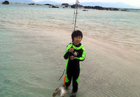 2012年04月08日