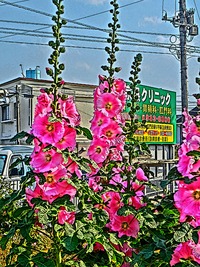2012年05月07日