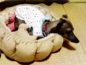1日目のメグちゃん