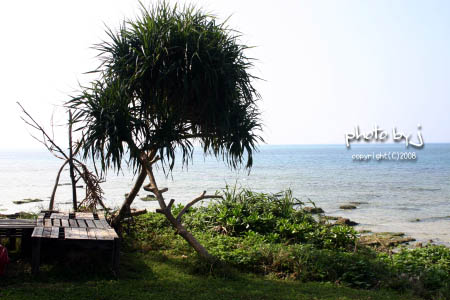 海岸をぶらり・・・