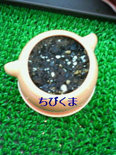 引越~♪