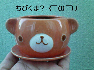 引越~♪