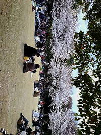 川崎ライブ 2008/04/03 08:38:38