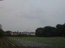 実家(田舎) 2008/06/07 20:21:22
