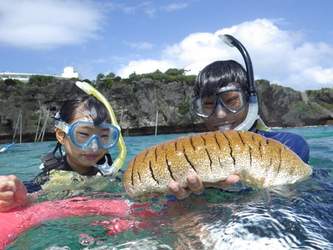 沖縄でナマコとシュノーケリング(笑)