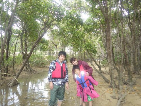 マングローブの森を探検