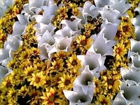 Happy　Birthday＊ 2008/04/17 23:38:21