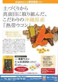 熱帯ウコンの紹介です