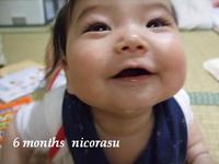 6ヶ月 2008/07/30 15:11:27