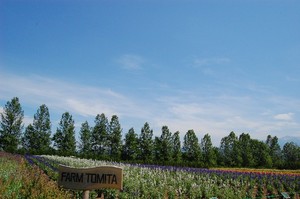 真夏日の北の地より、お久しぶりでしたぁ