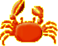 蟹づくし