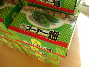 宮古島紀行 グルメ・スウィーツ編⑧ モンテドール
