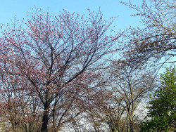 空高く・・・
