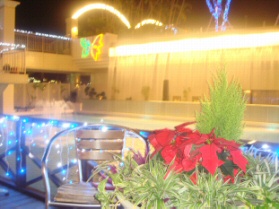 クリスマス気分