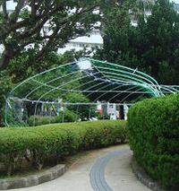 緑のアーケード 2008/06/04 22:40:31