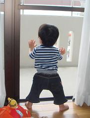 網戸好き 2008/06/05 23:31:30