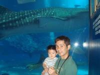 美ら海＆海水浴 2008/07/09 21:14:31