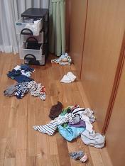 泥棒？ 2008/08/19 23:36:09