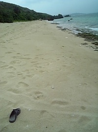 雨やしさぶいし・・ 2008/04/29 14:01:58