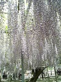 合間に愛想・・ 2008/05/04 12:55:58