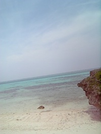 梅雨でして・・ 2008/05/25 12:30:45