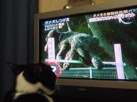 アホなやつ・・・ 2008/05/01 21:06:22