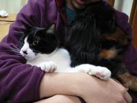 今年も仲良し・・・ 2008/01/07 18:24:54