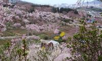 未知の国でしたが・・・ 2008/04/19 16:30:21