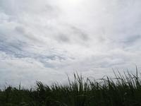あっち立てれば・・・ 2008/07/17 11:37:30