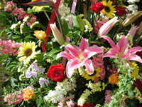 藤商　小禄店 2007/02/24 11:44:00