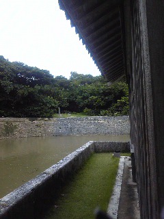 黄昏おやぢ沖縄一人旅6