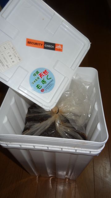 久米島の天然もずく