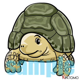 人生焦らずゆっくりと…