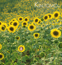 かくれんぼっ 2008/05/21 23:54:24