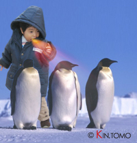 南極旅行にて 2009/01/27 18:51:00