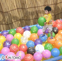 ぼんぼん 2009/06/08 15:55:42