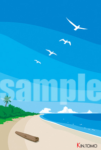 夏！ 2008/06/16 22:06:20