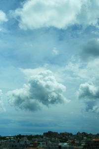 雲* 2008/08/12 11:03:04